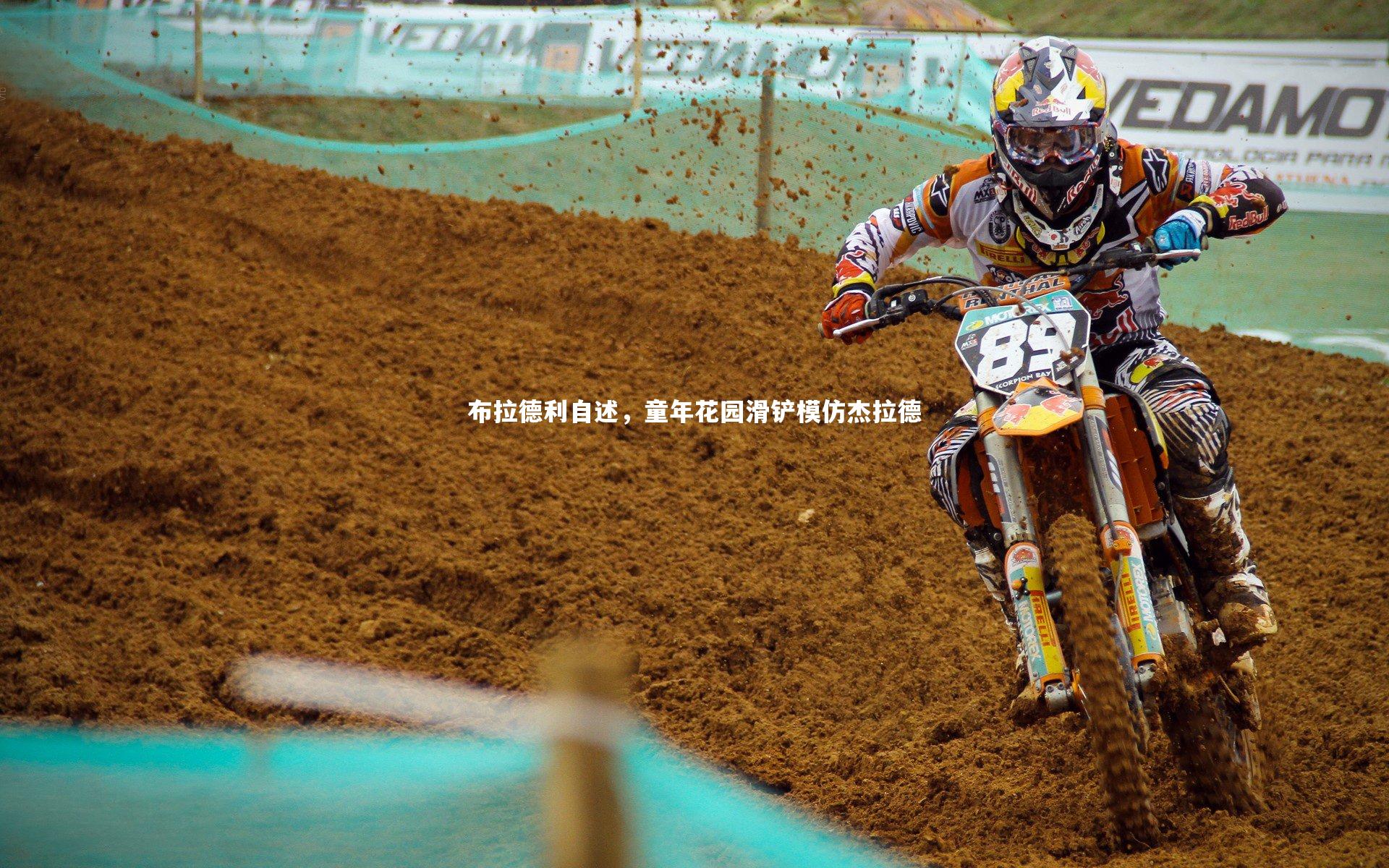 布拉德利自述，童年花园滑铲模仿杰拉德